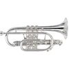  Kèn Cornet Bb Besson BE928G-2-0, Goldbrass Bell, Silver Plated 