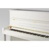  Đàn Piano Upright Petrof P 122 N2 