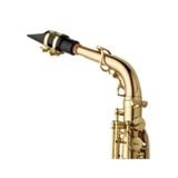 Kèn Saxophone Alto Yanagisawa A-WO20, Elite series, bronze, Gold lacquer 