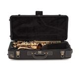  Kèn Saxophone Alto Yanagisawa A-WO20, Elite series, bronze, Gold lacquer 