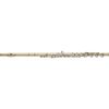  Sáo Flute Powell Conservatory 9K Aurumite DT RBE 