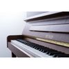  Đàn Piano Upright Petrof P 118 P1 
