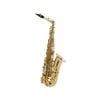  Kèn Saxophone Alto Selmer Axos 