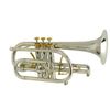  Kèn Cornet Bb Stomvi Elite 5825 Silver Plated 