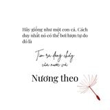  Bộ Thẻ Sống Như Bông Pháo Hoa 