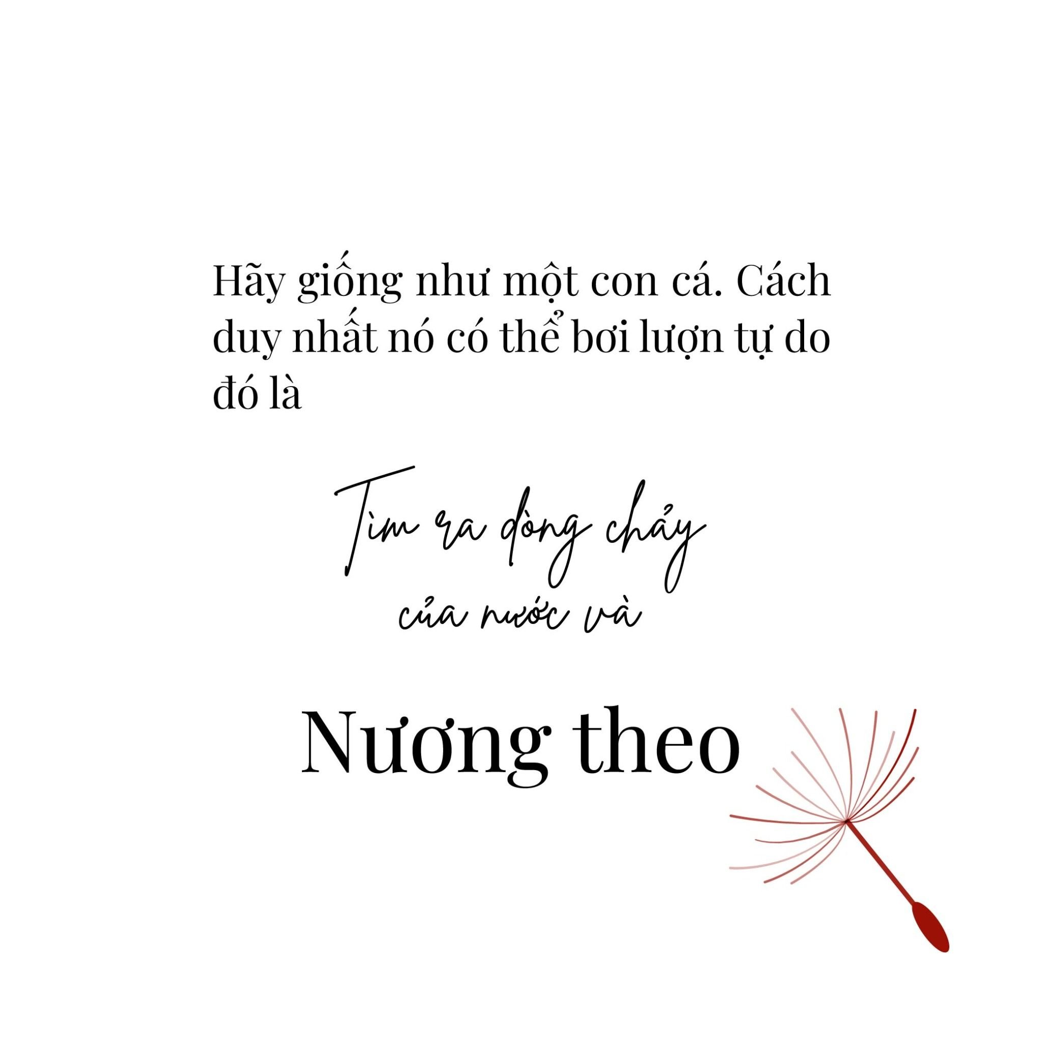  Bộ Thẻ Sống Như Bông Pháo Hoa 