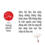  Bộ Thẻ Sống Như Bông Pháo Hoa 