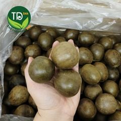 [Combo 10 trái] La hán quả sấy khô loại 1, hàng nguyên trái, nguyên liệu làm nước sâm, pha trà, thanh lọc, giải nhiệt