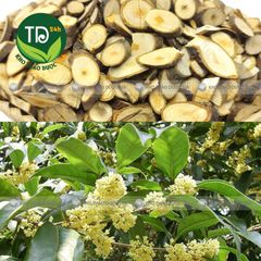 Quế chi khô, hàng loại 1, xông nhà, thanh tẩy, khử mùi, dùng pha trà, sắc nước, làm ấm cơ thể.