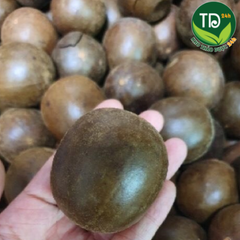 La Hán Quả Sấy Khô loại 1, combo 10 quả, nguyên liệu làm nước sâm, tăng cường miễn dịch & sức khỏe tim mạch