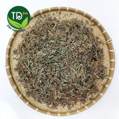 Dòi thân tím (dòi tía), cây bọ mắm, ngừa ho lao, ho mãn tính, viêm họng, thông tiểu, thông sữa, ngừa sâu răng