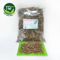 Nhân Trần Nam (Nhân Trần Tía) hỗ trợ viêm gan, vàng da.