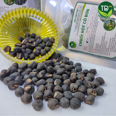 Chuối cô đơn (chuối chân voi, chuối hột lớn, chuối hột mồ côi), đánh bay sỏi thận, rất tốt cho tiểu đường