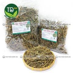 Cây dừa cạn khô, hàng loại 1, hỗ trợ thông tiểu tiện, lợi tiểu, bế kinh nguyệt, huyết áp cao, đặc biệt rất tốt cho một số bệnh ung thư