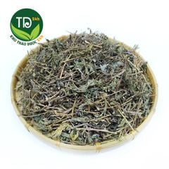 Cây xấu hổ (Mắc Cỡ, Trinh Nữ), giảm đau xương khớp, nhức mỏi tay chân, an thần, ngủ ngon, hàng lá xanh đẹp