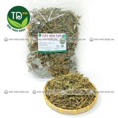 Cây dừa cạn khô, hàng loại 1, hỗ trợ thông tiểu tiện, lợi tiểu, bế kinh nguyệt, huyết áp cao, đặc biệt rất tốt cho một số bệnh ung thư