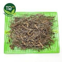 Nhân Trần Nam (Nhân Trần Tía) hỗ trợ viêm gan, vàng da.