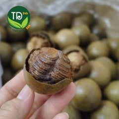 [Combo 10 trái] La hán quả sấy khô loại 1, hàng nguyên trái, nguyên liệu làm nước sâm, pha trà, thanh lọc, giải nhiệt