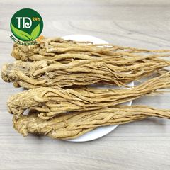 Sâm đương quy tươi Lâm Đồng nhà trồng, bổ huyết, ngũ tạng, hoạt huyết, tốt cho phụ nữ sau sinh