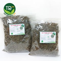 Dòi thân tím (dòi tía), cây bọ mắm, ngừa ho lao, ho mãn tính, viêm họng, thông tiểu, thông sữa, ngừa sâu răng