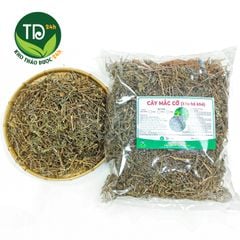 Cây xấu hổ (Mắc Cỡ, Trinh Nữ), giảm đau xương khớp, nhức mỏi tay chân, an thần, ngủ ngon, hàng lá xanh đẹp