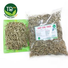 Cây cải trời khô, hỗ trợ tiêu u bướu cổ, tiêu viêm tuyến giáp, thủy đậu, viêm tắc tĩnh mạch chi