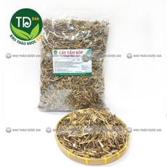 Cây tầm bóp, thù lù khô, hỗ trợ làm mát gan, giải độc, lợi tiểu, ổn định huyết áp, đường huyết, giảm mỡ máu, ngừa ung thư