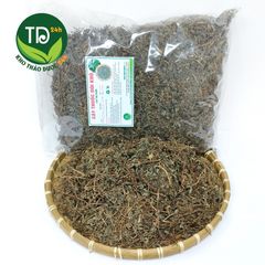 Dòi thân tím (dòi tía), cây bọ mắm, ngừa ho lao, ho mãn tính, viêm họng, thông tiểu, thông sữa, ngừa sâu răng