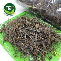 Nhân Trần Nam (Nhân Trần Tía) hỗ trợ viêm gan, vàng da.