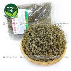 Bạch hoa xà thiệt thảo, hỗ trợ đánh bay các khối u ác tính, viêmm gan, sơ gan, thanh nhiệt, giải độc, tiêu ung