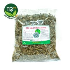 Cây xấu hổ (Mắc Cỡ, Trinh Nữ), giảm đau xương khớp, nhức mỏi tay chân, an thần, ngủ ngon, hàng lá xanh đẹp