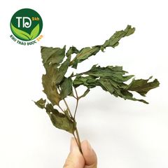 Lá đinh lăng sấy khô, sạch thơm, hàng loại 1, giảm căng thẳng lo âu, giảm đau đầu, trợ tiêu hóa, đầy hơi, khó tiêu