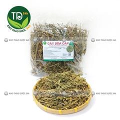 Cây dừa cạn khô, hàng loại 1, hỗ trợ thông tiểu tiện, lợi tiểu, bế kinh nguyệt, huyết áp cao, đặc biệt rất tốt cho một số bệnh ung thư