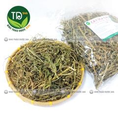 Cây dừa cạn khô, hàng loại 1, hỗ trợ thông tiểu tiện, lợi tiểu, bế kinh nguyệt, huyết áp cao, đặc biệt rất tốt cho một số bệnh ung thư