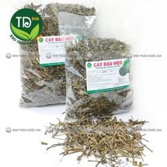 Cây Râu Mèo khô, hỗ trợ sỏi thận, thông tiểu, điều hòa huyết áp cho người cao huyết áp.