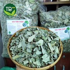 Kim tiền thảo, đánh bay sỏi thận, sỏi mật, sỏi bàng quang, đường tiết niệu, lợi mật, thông tiểu, hàng xanh, sạch