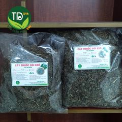 Dòi thân tím (dòi tía), cây bọ mắm, ngừa ho lao, ho mãn tính, viêm họng, thông tiểu, thông sữa, ngừa sâu răng