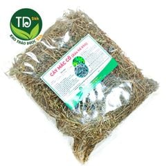 Cây xấu hổ (Mắc Cỡ, Trinh Nữ), giảm đau xương khớp, nhức mỏi tay chân, an thần, ngủ ngon, hàng lá xanh đẹp