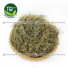 Bạch hoa xà thiệt thảo, hỗ trợ đánh bay các khối u ác tính, viêmm gan, sơ gan, thanh nhiệt, giải độc, tiêu ung