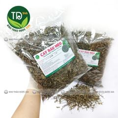 Cây Râu Mèo khô, hỗ trợ sỏi thận, thông tiểu, điều hòa huyết áp cho người cao huyết áp.