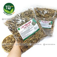 Cây tầm bóp, thù lù khô, hỗ trợ làm mát gan, giải độc, lợi tiểu, ổn định huyết áp, đường huyết, giảm mỡ máu, ngừa ung thư