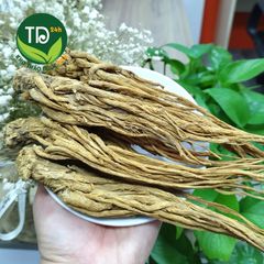 Sâm đương quy tươi Lâm Đồng nhà trồng, bổ huyết, ngũ tạng, hoạt huyết, tốt cho phụ nữ sau sinh