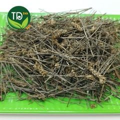 Nhân Trần Nam (Nhân Trần Tía) hỗ trợ viêm gan, vàng da.