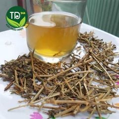 Cà gai leo, giải độc, hạ men gan, làm mát gan, bảo vệ lá gan cho gia đình, thảo dược sạch 100%