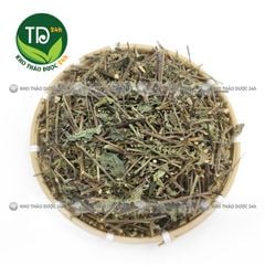 Cây Râu Mèo khô, hỗ trợ sỏi thận, thông tiểu, điều hòa huyết áp cho người cao huyết áp.