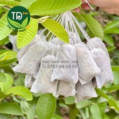 Trà ổi (Trà túi lọc búp ổi, túi lọc dạng lớn, mix đủ vị), thảo mộc cho sức khoẻ, thơm dịu vị thiên nhiên, hàng loại 1, 100% từ thiên nhiên