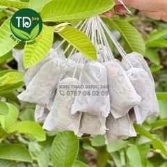 Trà búp ổi (lá ổi non) dạng túi lọc lớn, hỗ trợ giảm cân, giảm mỡ bụng, nhuận tràng, làm đẹp da, tiện sử dụng