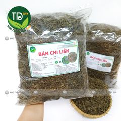 Bán chi liên, hỗ trợ giải độc, tiêu viêm, đánh bay khối u, tốt cho người bị viêm gan, xơ gan cổ trướng