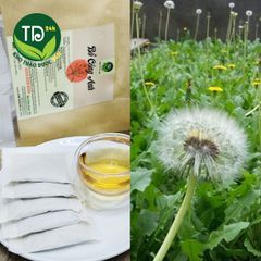 Trà túi lọc bồ công anh, ngừa sản hậu, giúp thông tia sữa ở bà mẹ cho con bú, ngừa đau dạ dày, táo bón, đau ruột thừa
