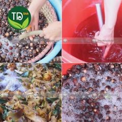 Bồ hòn tách hạt vụ mới, loại nhiều mật, dùng làm nước rửa tay, rửa chén bát, giặt đồ, gội đầu thuần tự nhiên